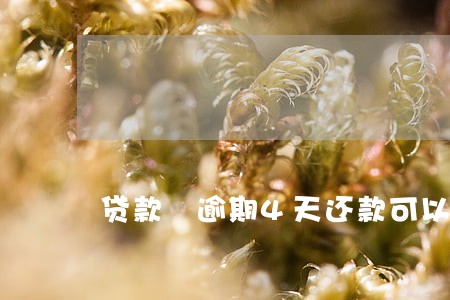 贷款 逾期4天还款可以吗 贷款 逾期4天还款可以吗
